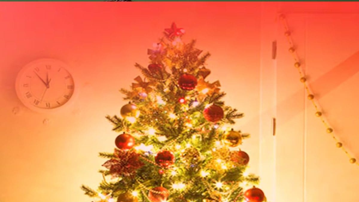 Deck the Halls! Expert Tips for Styling Your Christmas Tree Like a Pro - News18