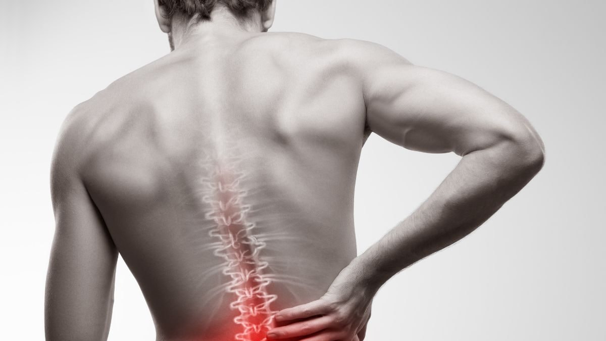 Find Out What Are The Causes Of Lower Back Pain? – News18