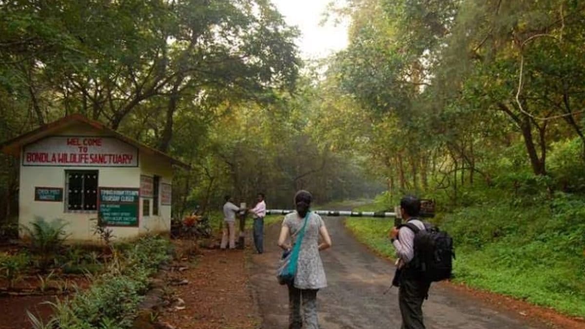 Move Over Beaches, These 5 Wildlife Sanctuaries In Goa Are A Must-see - News18