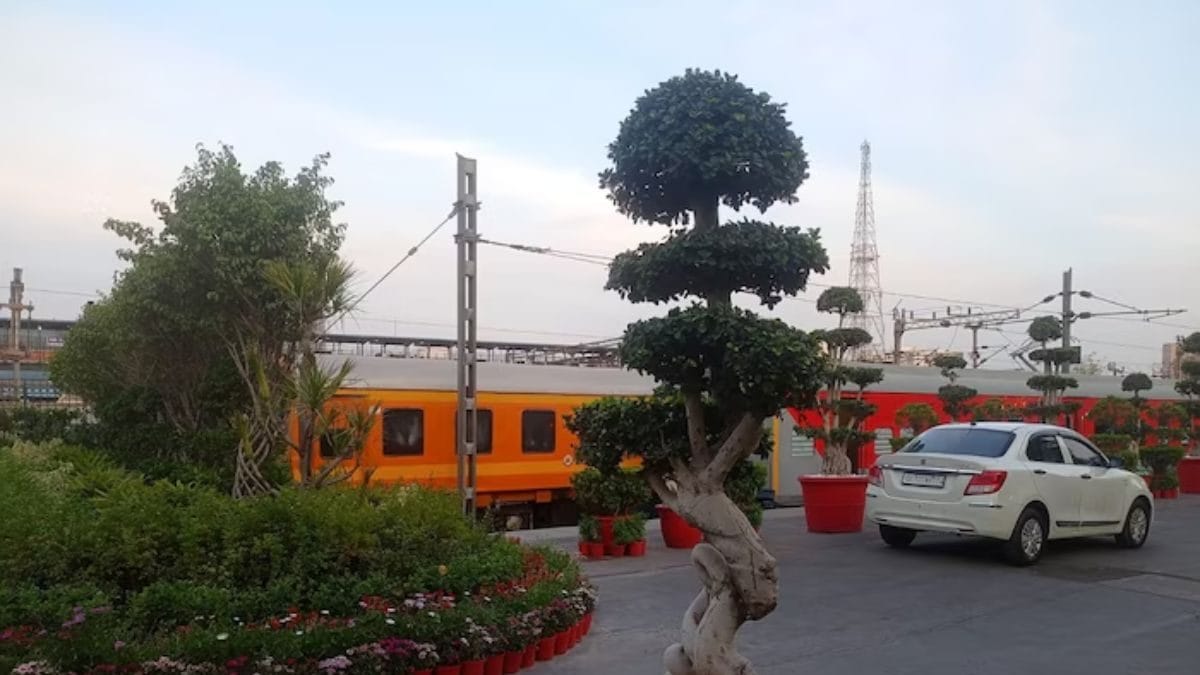 This Tree At New Delhi Railway Station Is Worth Rs 25 Lakh - News18