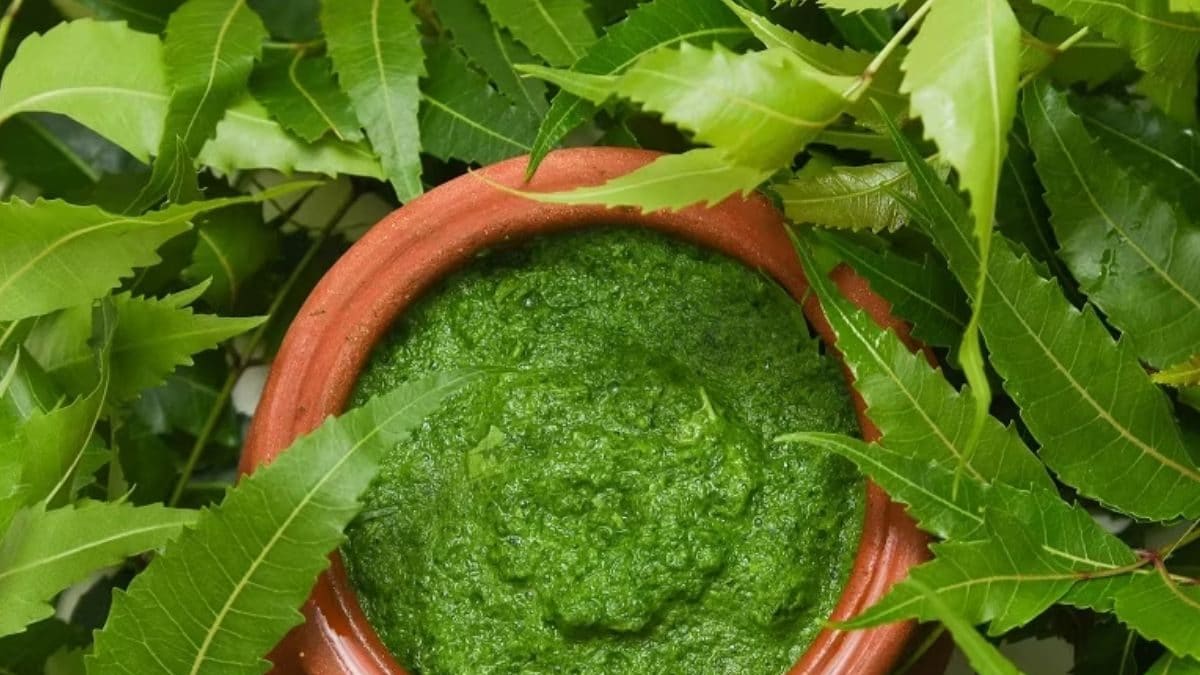 Treating Constipation To Fighting Signs Of Ageing, Benefits Of Neem - News18