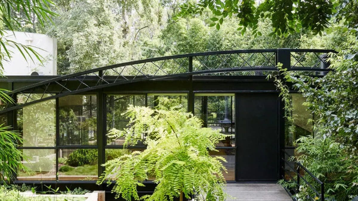 Gardening 101: Transforming your ‘Home Sweet Home’ into a Nature Lover’s Paradise - News18