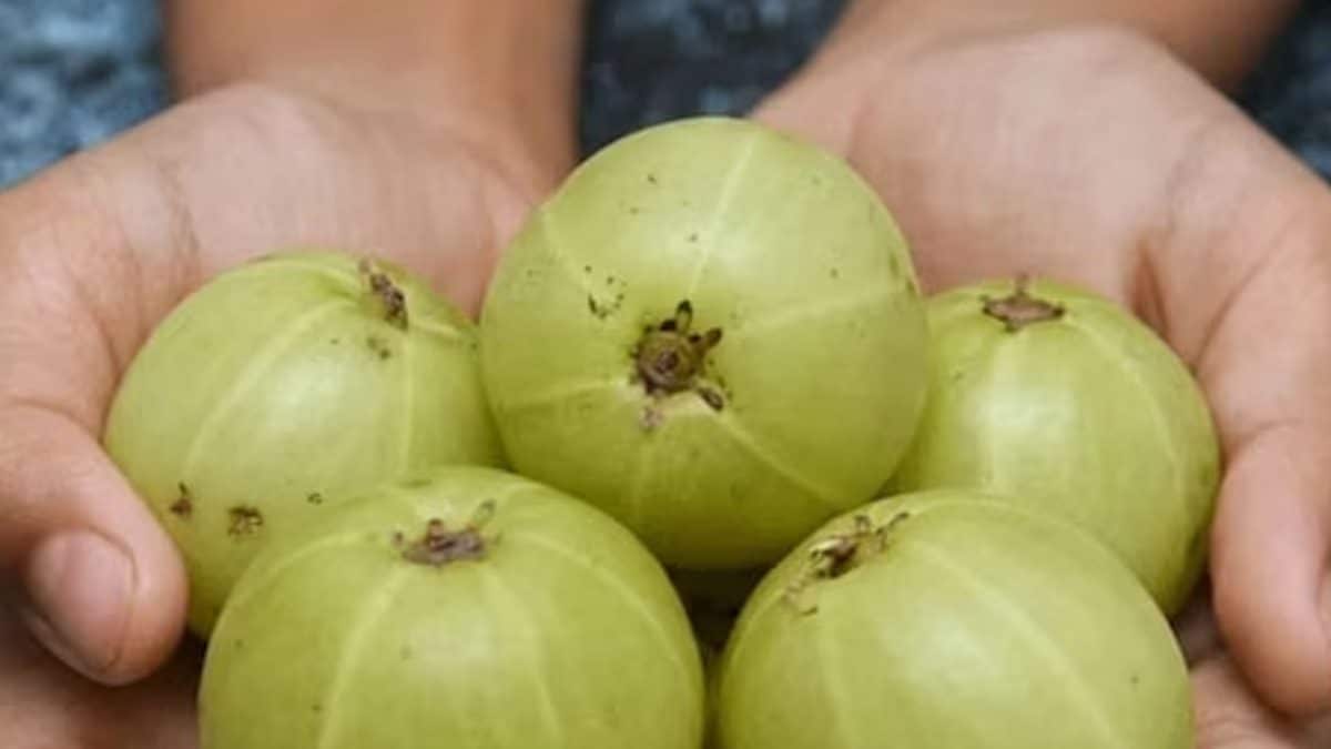 Amla: The Ultimate Superfood For Health, Hair And Skin - News18