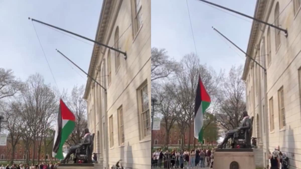 Caught On Cam: Protesters Raise Palestinian Flag At Harvard University In Place Of American Flag - News18